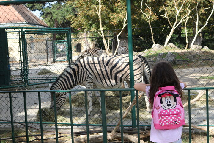 Aylin und ihr Lieblings-"Pony"