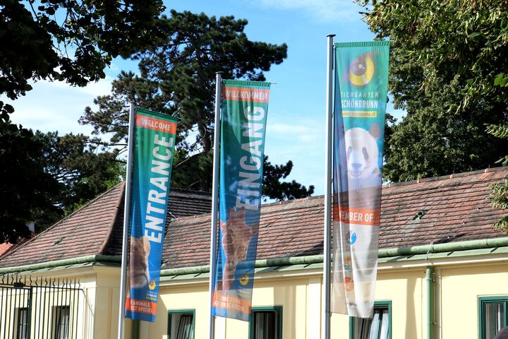Ein Ausflug in den Tiergarten bringt Abwechslung in die Ferien.