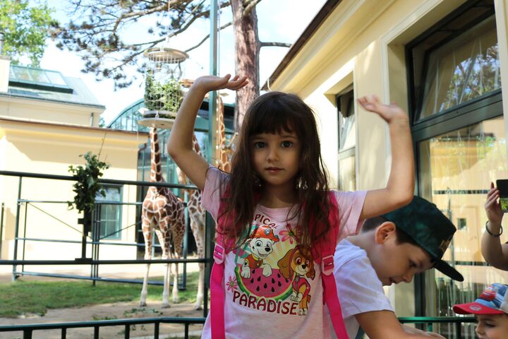 So groß sind Giraffen.