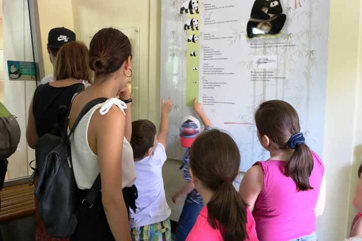 Voller Elan erklärt Damon Betreuerin Ivana sein Lieblingstier, den großen Panda.