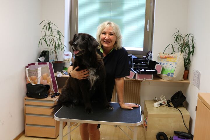 Hündin Lucy mit ihrem "Kurzhaarschnitt". (Bild: FSW)