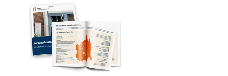 Odw Wirkungsbericht Mock Up Titel