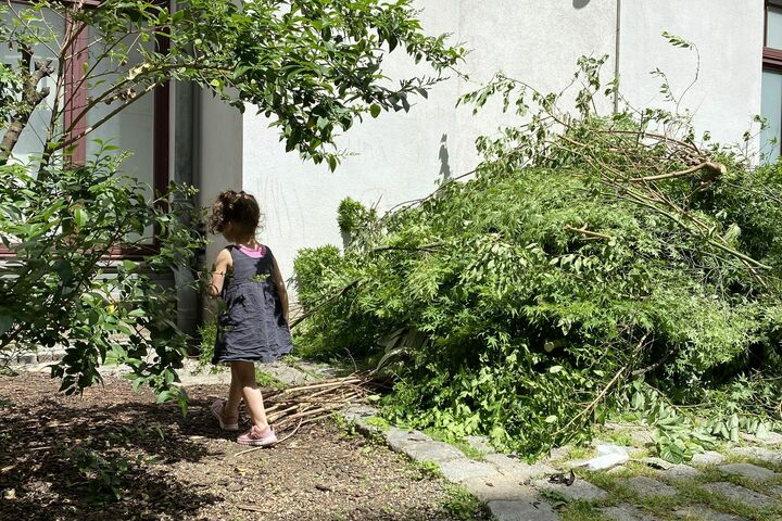 Ein Schnappschuss bevor die Erde im Chancenhaus Obdach Favorita umgegraben wurde. (Bild: FSW)