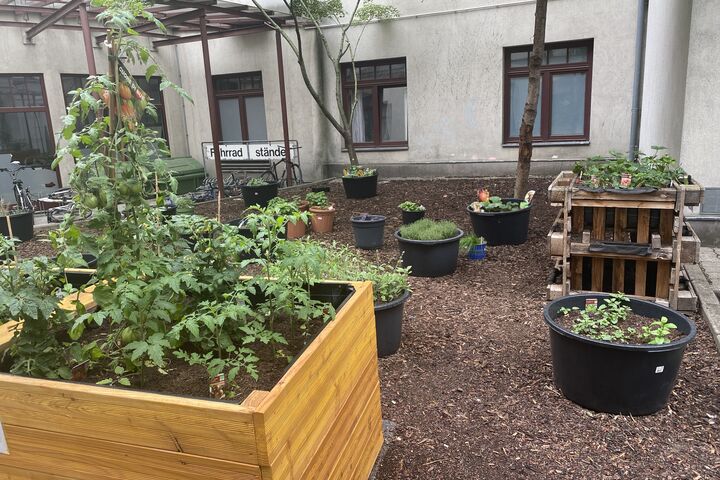 Die Beete stehen bepflanzt im Innenhof des Chancenhaus Obdach Favorita. (Bild: FSW)