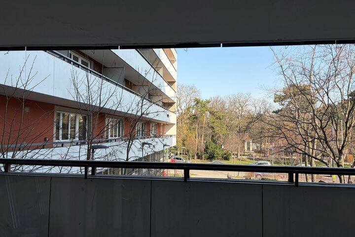 Blick in den Garten aus einem Balkon im zweiten Stock. 